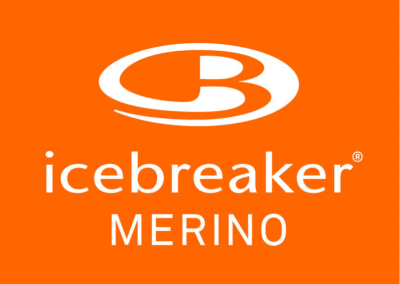 Icebreaker: Master Data Management