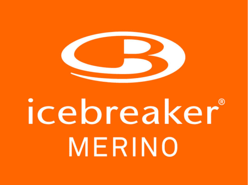 Icebreaker: Master Data Management