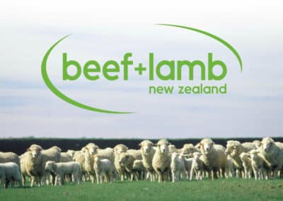 Beef + Lamb New Zealand