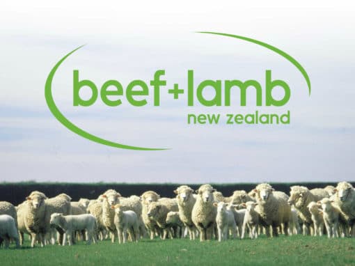 Beef + Lamb New Zealand