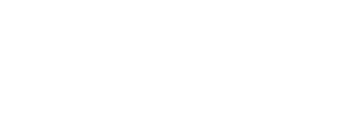 ms-solutions-partner_white